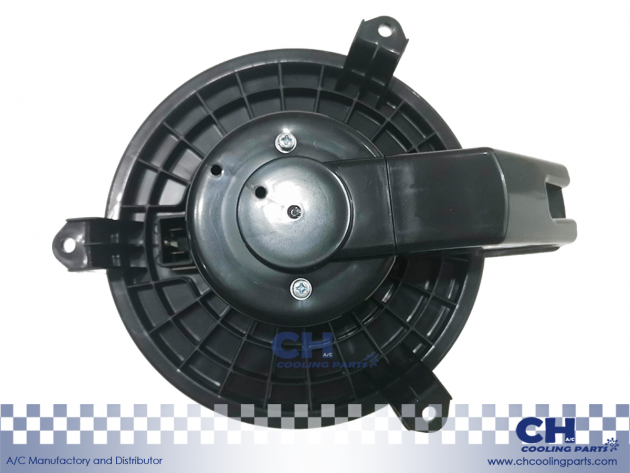 CH-B6165