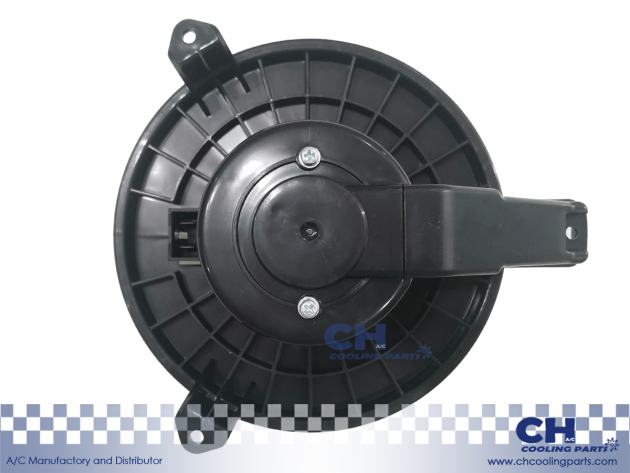 CH-B6166