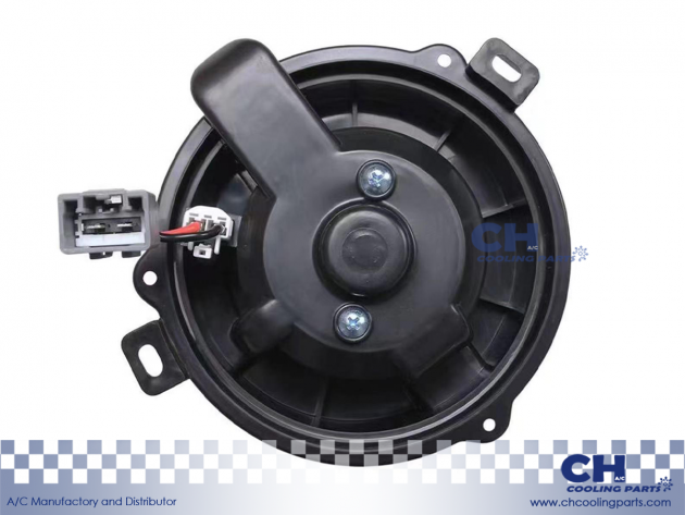 CH-B6171