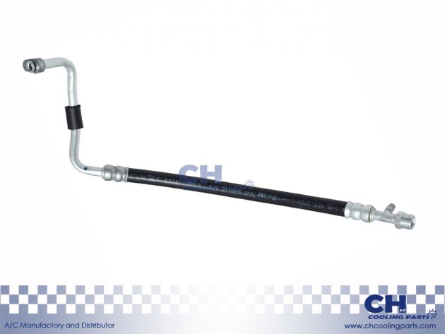 CH-HA6065