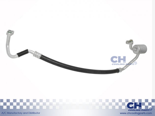 CH-HA6174
