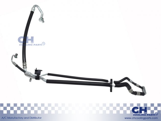 CH-HA6196
