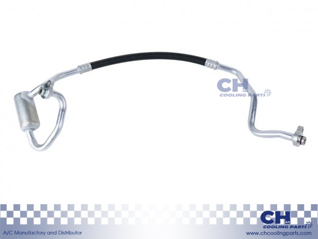 CH-HA6406
