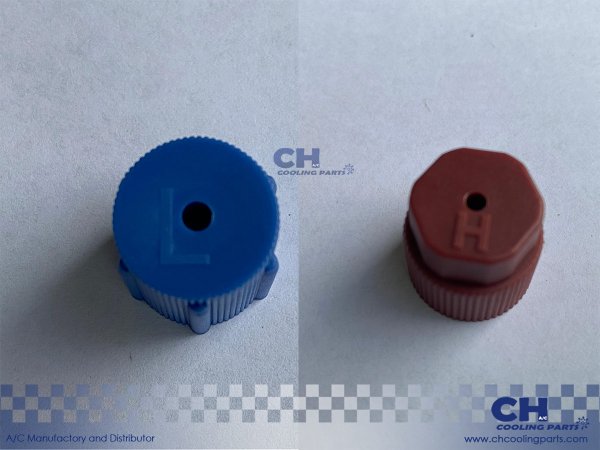 High and low pressure valve